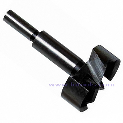 Punte Forstner per la lavorazione del legno (WD-004)